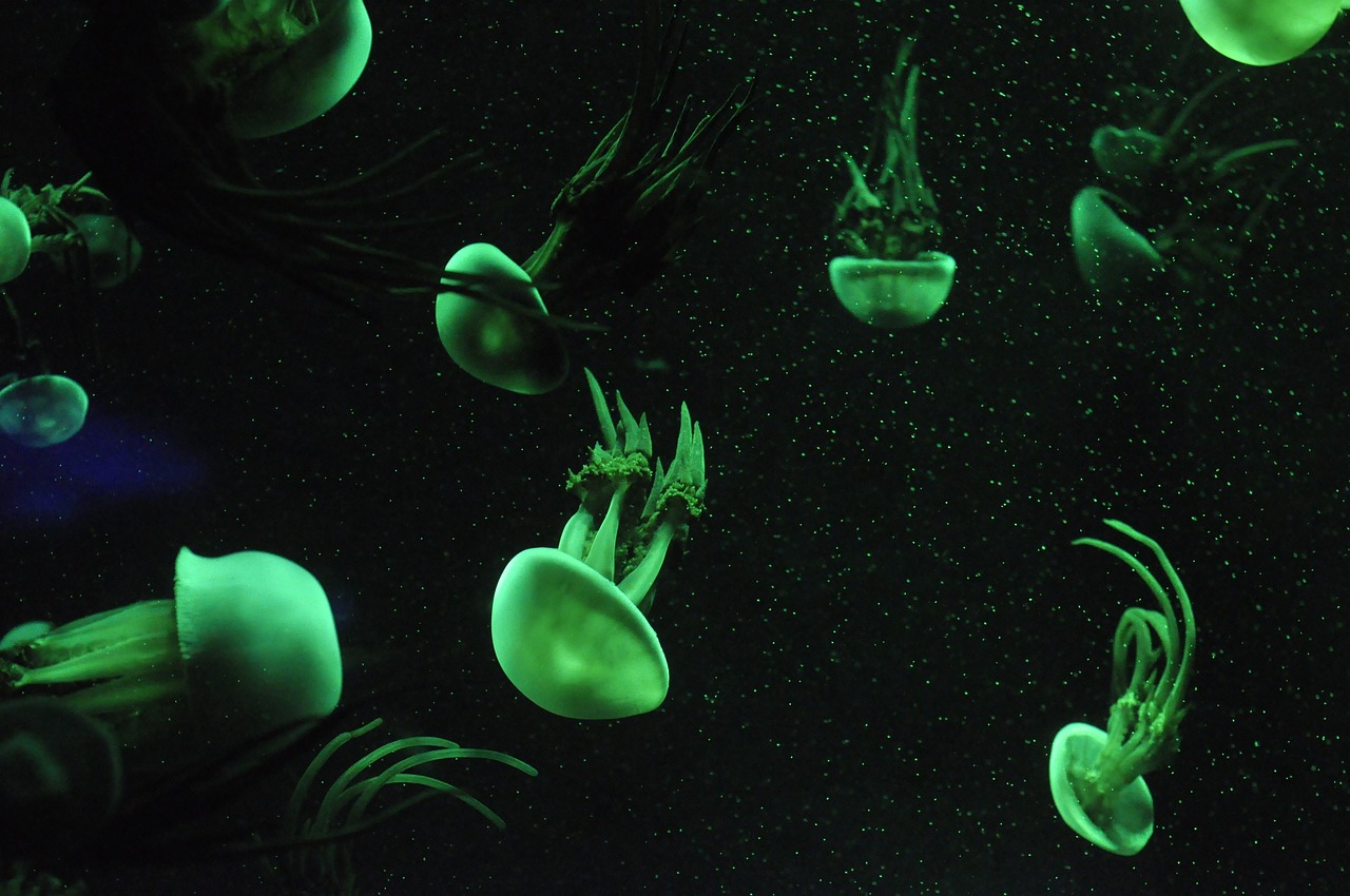 Saving Marine Life with Oceanic Green Energy Solutions
